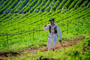 BIB: 
                            <button type="button" onclick="openModal(19162385)" class="btn btn-primary btn-sm float-right btn-popup" data-toggle="modal" data-target=".modal-high-quality">
                        <i class="fas fa-shopping-cart"></i> Add to Cart
                    </button>
                                            <button type="button" onclick="isThisMe(19162385, true)" class="btn btn-success btn-sm float-right btn-popup btn-isme hidden" data-toggle="tooltip" data-placement="bottom" title="นี่คือรูปของคุณใช่ไหม คลิกที่นี่เพื่อเอาเข้าอัลบั้ม">
                        <i class="fas fa-plus"></i> Add to album
                    </button>
                    <button type="button" onclick="isThisMe(19162385, false)" class="btn btn-warning btn-sm float-right btn-popup btn-isnotme hidden">
                        <i class="fas fa-ban"></i> Remove from album
                    </button>